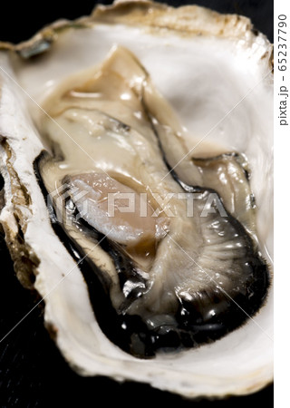 新鮮で美味しい生牡蠣 65237790