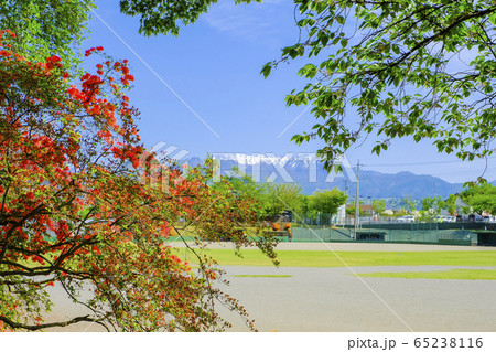 山つつじと残雪の武尊山 山つつじと残雪の武尊山 65238116