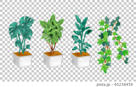 水彩画 観葉植物のイラスト素材セットのイラスト素材