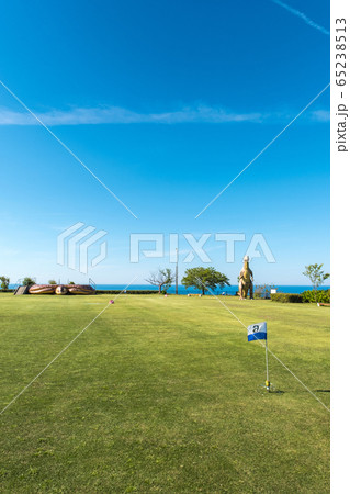 鳥取県　潮風の丘とまり　初夏の風景 65238513