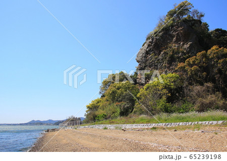 人面岩あらわる　（浜名湖） 65239198