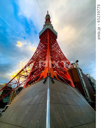 東京タワー 65239778