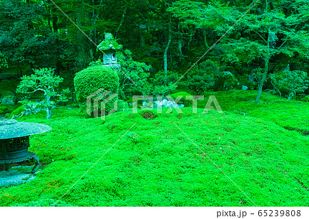 滋賀県大津市坂本にある元里坊　旧竹林院にある新緑を撮影 65239808