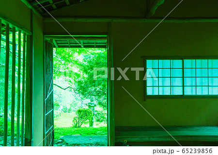 滋賀県大津市坂本にある元里坊 旧竹林院にある新緑を撮影 滋賀県大津市坂本にある元里坊 旧竹林院にある新緑を撮影 65239856