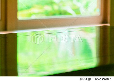 滋賀県大津市坂本にある元里坊　旧竹林院にある新緑を撮影 65239867