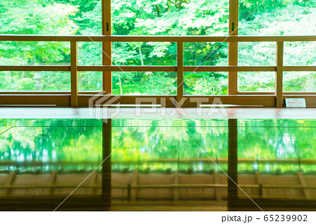 滋賀県大津市坂本にある元里坊 旧竹林院にある新緑を撮影 滋賀県大津市坂本にある元里坊 旧竹林院にある新緑を撮影 65239902