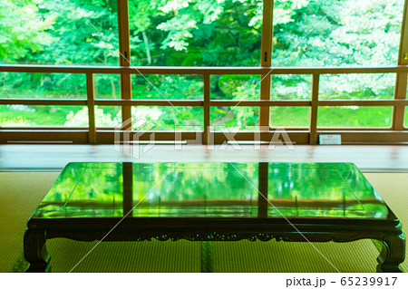 滋賀県大津市坂本にある元里坊　旧竹林院にある新緑を撮影 65239917