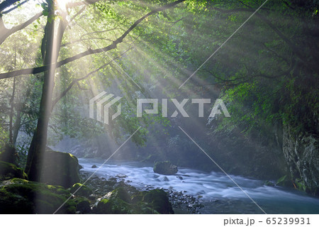 円原の伏流水と光芒 65239931