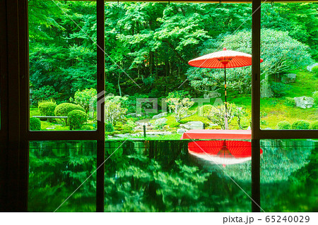 滋賀県大津市坂本にある元里坊 旧竹林院にある新緑を撮影 滋賀県大津市坂本にある元里坊 旧竹林院にある新緑を撮影 65240029