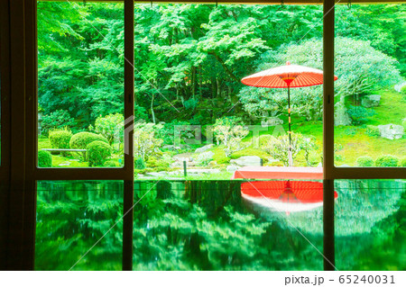 滋賀県大津市坂本にある元里坊 旧竹林院にある新緑を撮影 滋賀県大津市坂本にある元里坊 旧竹林院にある新緑を撮影 65240031