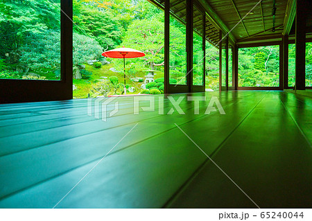 滋賀県大津市坂本にある元里坊　旧竹林院にある新緑を撮影 65240044