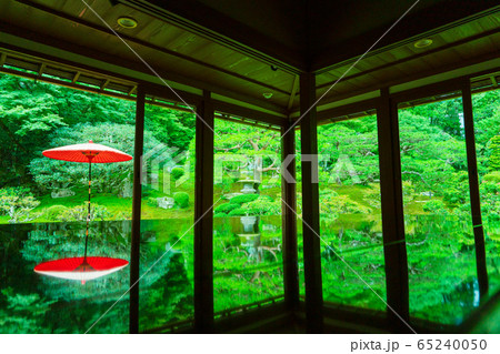 滋賀県大津市坂本にある元里坊　旧竹林院にある新緑を撮影 65240050