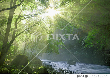 円原の伏流水と光芒 65240082