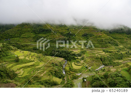 Banaue rice terraces 65240189