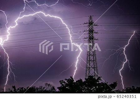 紫色の稲妻 65240351