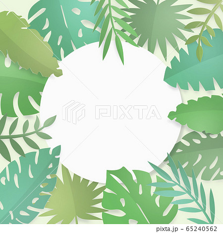 南国 植物 葉 リーフ フレーム 円のイラスト素材