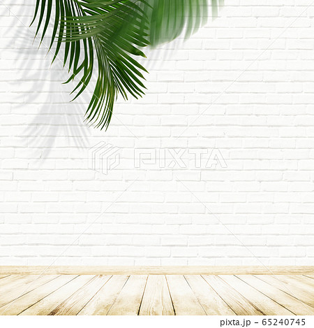 Background-wall-floor-brick-white-houseplant - Stock Illustration  [65240745] - PIXTA