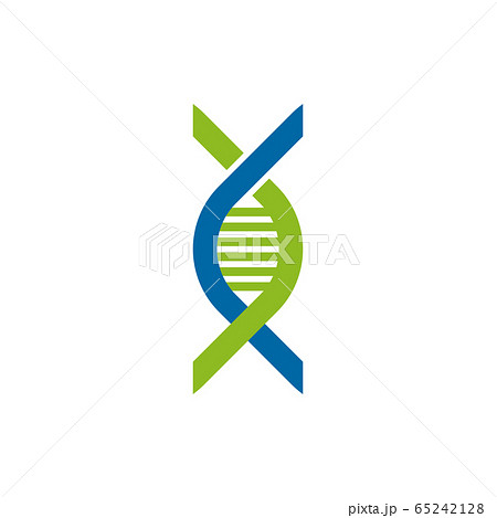DNA Molecule logo design vector template 65242128