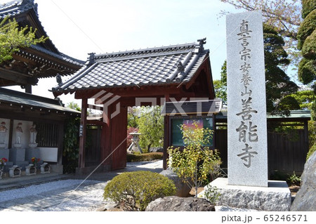 善能寺 善能寺 65246571