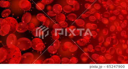 コロナ　ウイルス　赤血球　背景 65247900