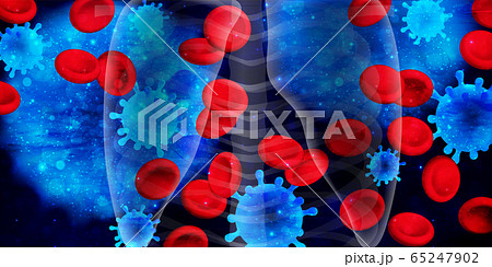 コロナ　ウイルス　赤血球　背景 65247902
