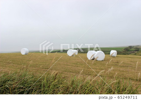 牧草ロールが転がる牧草地 65249711