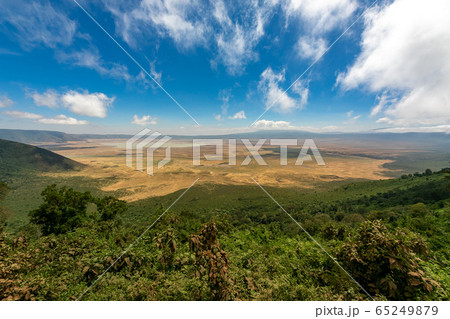タンザニア・ンゴロンゴロのクレーターをメイン展望台から望む 65249879