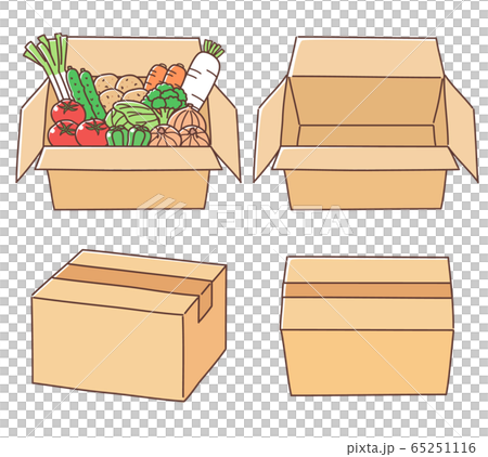 箱入り野菜　段ボール　セット 65251116