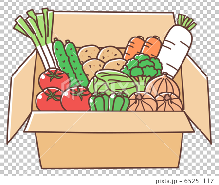 野菜 箱入り 野菜 箱入り 65251117