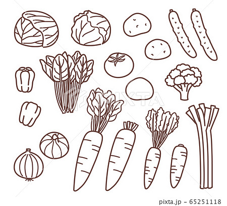 野菜　手描き風　線画　セット 65251118