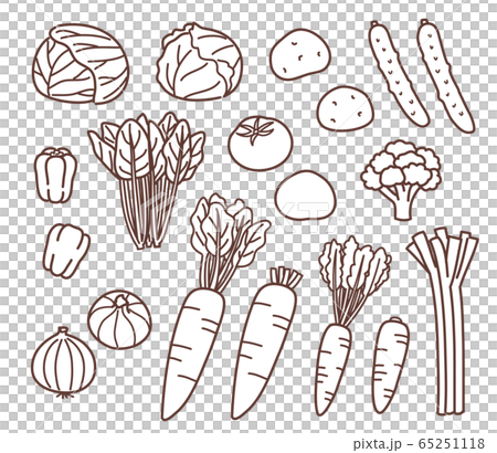 野菜　手描き風　線画　セット 65251118