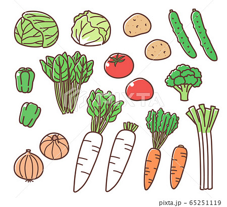 野菜　手描き風　セット 65251119