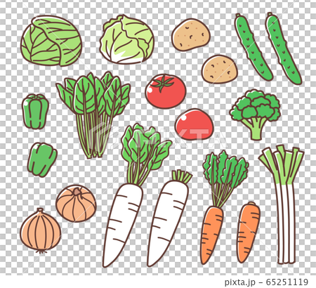 野菜　手描き風　セット 65251119