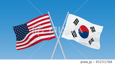米韓国旗 米韓国旗 65251788
