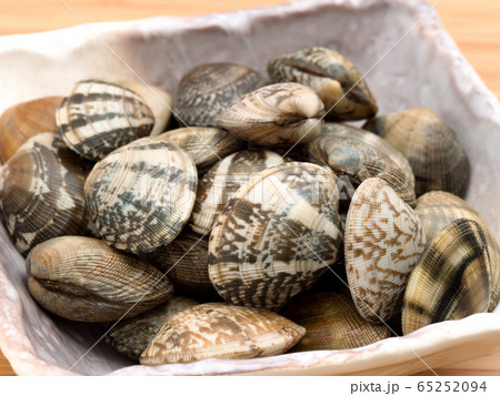 生のアサリ 65252094
