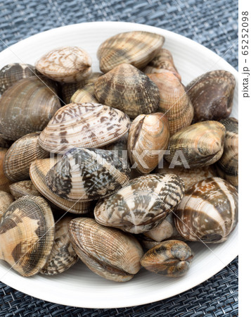 生のアサリ 65252098