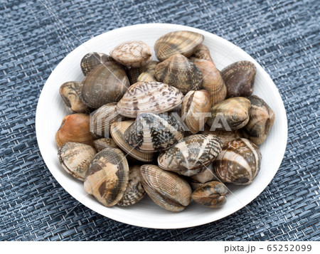 生のアサリ 65252099