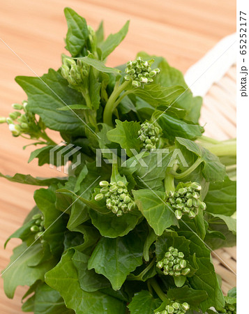 花わさび 65252177