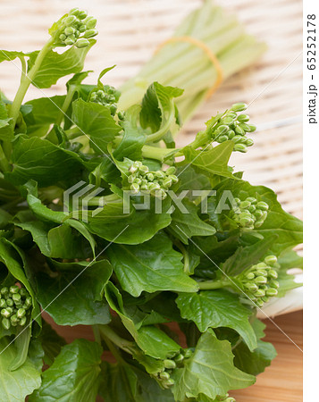 花わさび 65252178