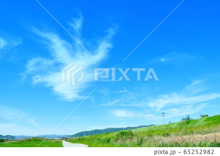 猪名川河川敷 65252982