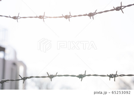 向こう側 向こう側 65253092