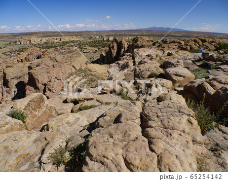 アコマ・スカイシティ アコマ・スカイシティ 65254142