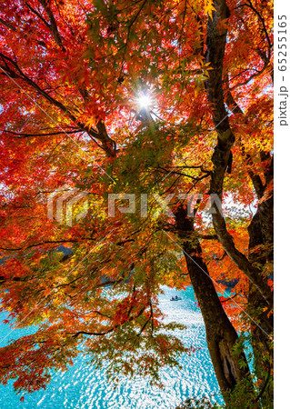 五色沼 毘沙門沼 磐梯山 青空 紅葉 ボート Bishamon-numa Pond 五色沼 毘沙門沼 磐梯山 青空 紅葉 ボート Bishamon-numa Pond 65255165