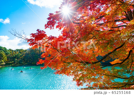 五色沼　毘沙門沼　磐梯山　青空　紅葉　ボート　Bishamon-numa Pond 65255168