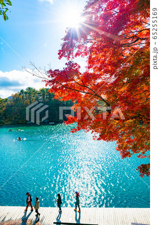 五色沼　毘沙門沼　磐梯山　青空　紅葉　ボート　Bishamon-numa Pond 65255169