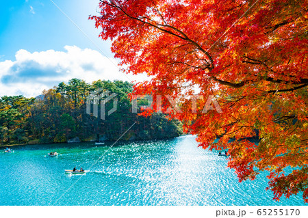 五色沼　毘沙門沼　磐梯山　青空　紅葉　ボート　Bishamon-numa Pond 65255170