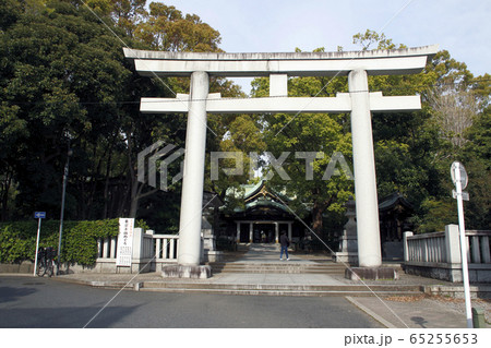 新緑の王子神社にて(東京都北区) 新緑の王子神社にて(東京都北区) 65255653