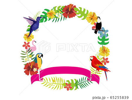 南国イメージイラスト 65255839