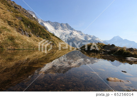 マウントクック、国立公園、アオラキ、世界遺産、セアリーターンズトラック(ニュージーランド)、3月 マウントクック、国立公園、アオラキ、世界遺産、セアリーターンズトラック(ニュージーランド)、3月 65256014