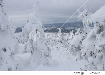 スノーモンスター 山形県 蔵王 樹氷 の写真素材